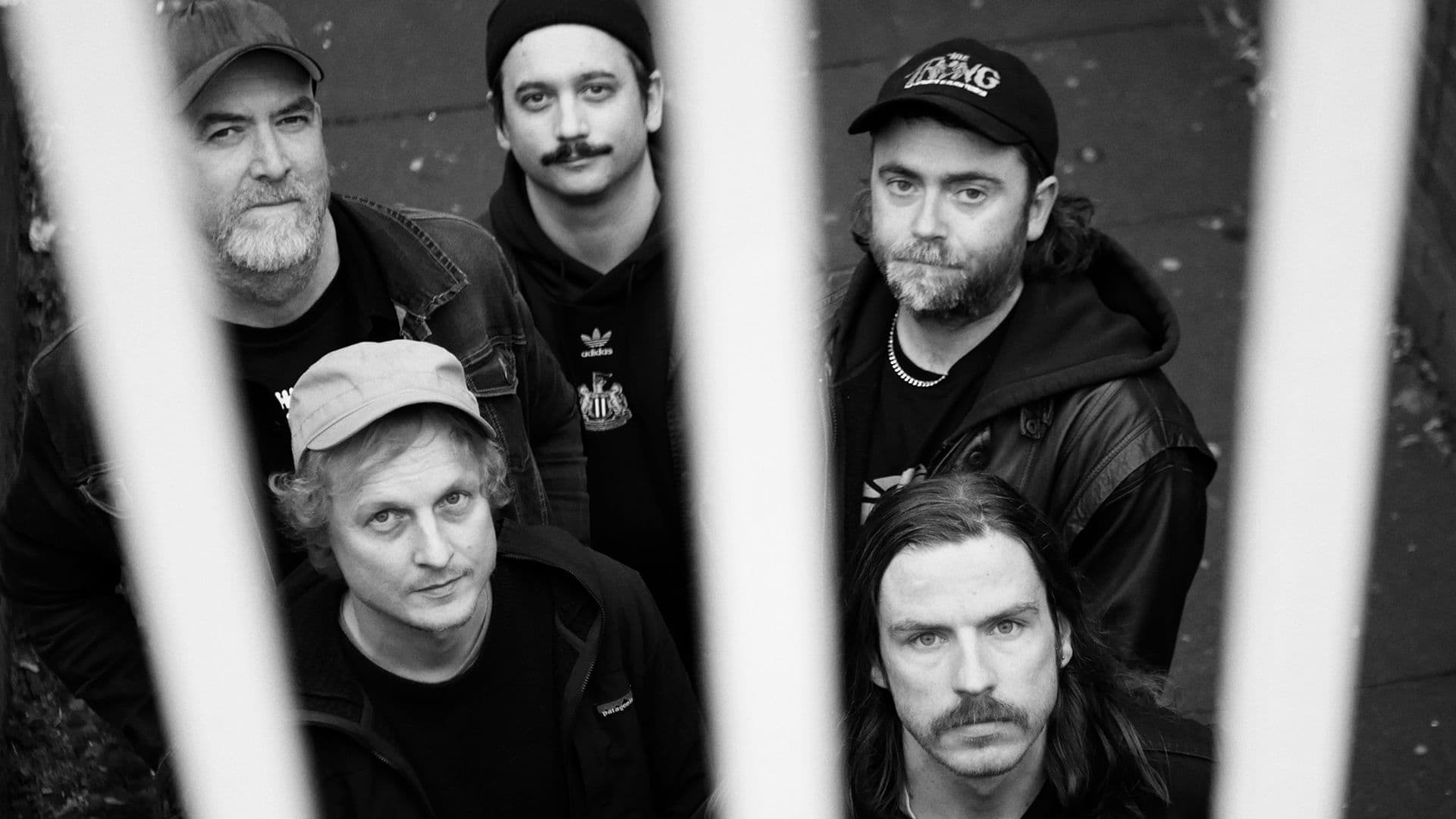 Pigs Pigs Pigs Pigs Pigs Pigs Pigs