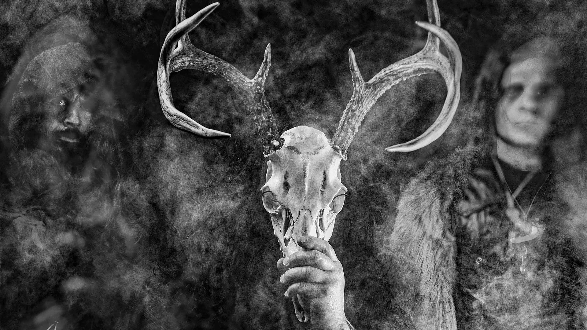 Wolves In The Throne Room